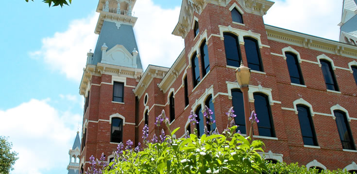 专业版功能的电话轰在线网页版入口